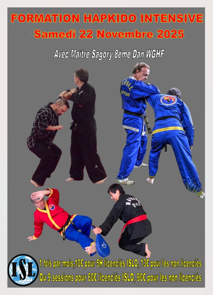 Formation Hapkido Intensive