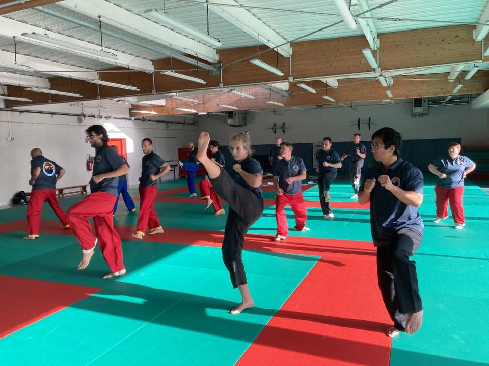 Formation WGHF photo 3