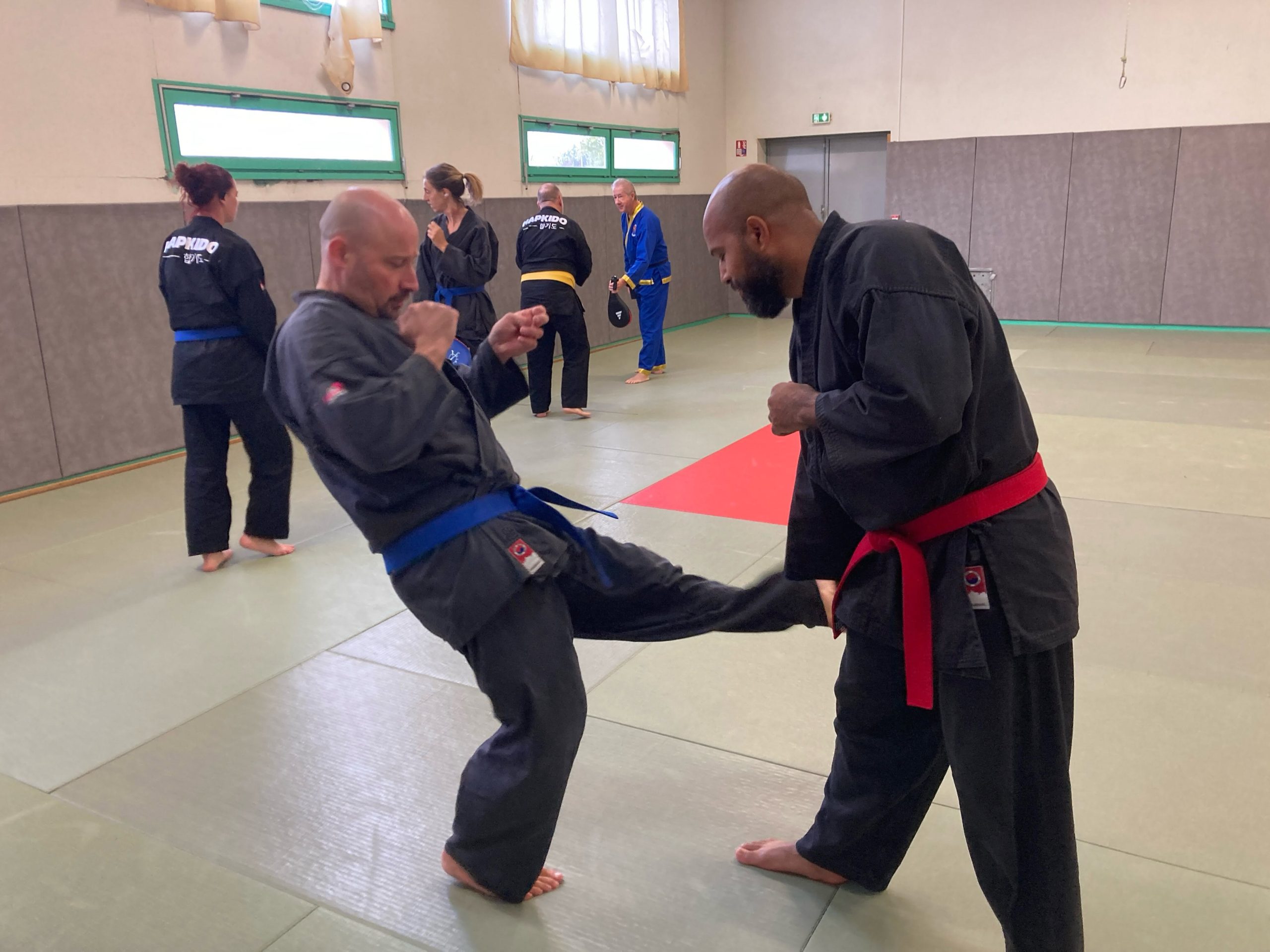 Formation technique Hapkido à Magné